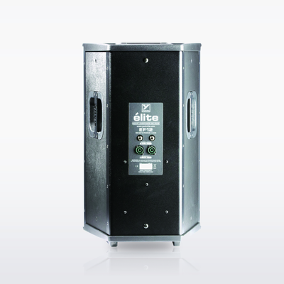 Yorkville EF12 Elite unpowered loudspeaker, rear view